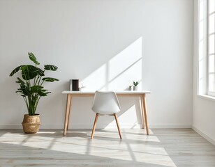 Modern minimalist home office with a white desk, chair, and a large plant, bathed in natural sunlight creating inviting shadows. Perfect for work, study, or tranquil productivity.
