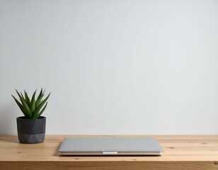 Modern minimalist workspace with a closed laptop and potted plant on a light wooden desk against a white wall. Ideal for remote work, home office, or tech concepts with ample copy space.