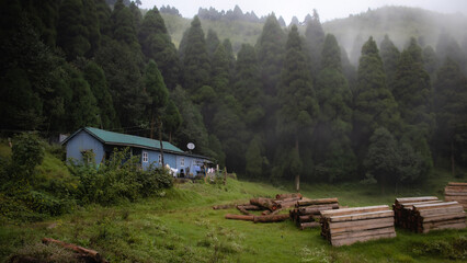 Misty Hill Village of chataidhura darjeeling with Wooden Houses, Green Grassland with logs of tree trunks and Pine Forest under Overcast Sky