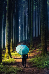 Travelers walk with umbrella in dense dark pine forest with sun rays piercing through pine trees on a misty forest trail, evoking serenity, eco-tourism, and wilderness adventure vibes.
