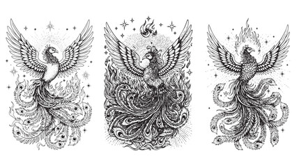 Engraved phoenix celestial mystical rebirth detailed cosmic bold classic graphic spiritual fiery design