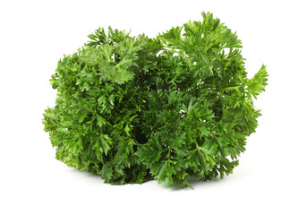 Bunch of fresh parsley isolated on white