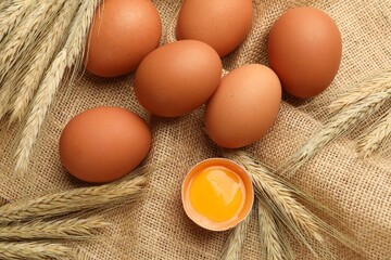 Raw eggs and spikes of wheat on fabric, flat lay