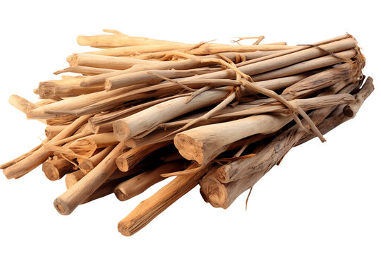 Eleuthero Root: Medicinal Herb, Siberian Ginseng, Adaptogen, Herbal Remedy, Close-Up transparent background png