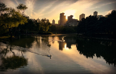 Lake park view, swimming ducks and behind modern buildings silhouette at sunset in Istanbul, Turkey.