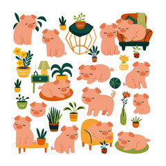 Cozy Piglet in a Plant-Filled Home