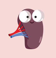 Vector Illustration of a Spleen Character Smiling Mascot. Small organ part of the lymphatic system tat stores and filters blood 
