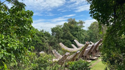 Fototapeta premium View from the top of the traditional Tongkonan house in Buntu Pune village, Tana Toraja, South Sulawesi