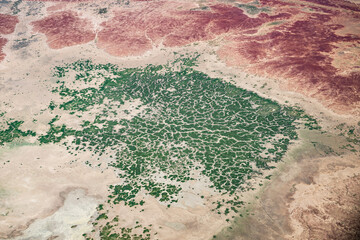 Desert dunes, gibber rock and vegetation