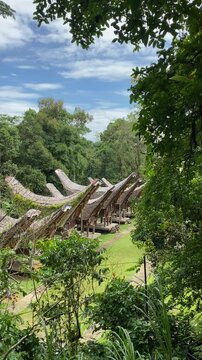 View from the top of the traditional Tongkonan house in Buntu Pune village, Tana Toraja, South Sulawesi