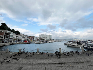 Tarabya Marina (Istmarin) panorama view in Istanbul, Turkey. 