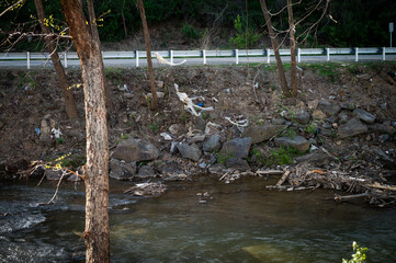 trash in river and trees