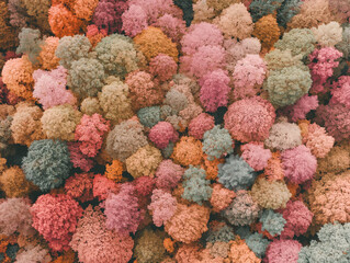 紅葉,秋,空撮,森,カラフル,自然,風景,山,木々,オレンジ,赤,黄色,緑,ピンク,季節,季節の変化,観光,森林,彩り,上空,葉っぱ,秋の風景,自然美,日本の秋,樹木,紅葉狩り,絶景,自然風景,美しい,トラベル,旅行,四季,秋色,山林,アウトドア,紅葉シーズン,静けさ,幻想的,ドローン撮影,自然写真,色彩豊か,林,風景写真,癒し,秋の自然,秋の彩り,自然散策,空中写真,自然の中