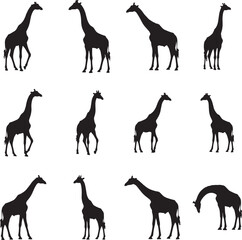 Collection of diverse giraffe poses in black silhouette against white background