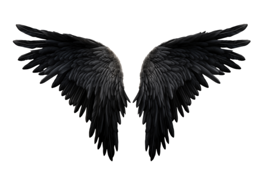 Majestic Black Wings: Perfect for Design Projects & Artistic Expressions transparent background png