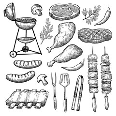 Big set of autumn leaves, tree seeds, acorns and chestnuts. Monochrome hand-drawn vector illustration.