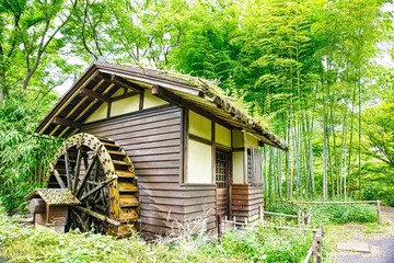 水車と竹林