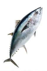 fish on white background, generation AI 