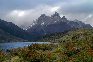 Obraz premium Paisaje montañoso con lago y flores silvestres