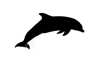 Fototapeta premium Silhouette of dolphin jumping isolated on transparent background