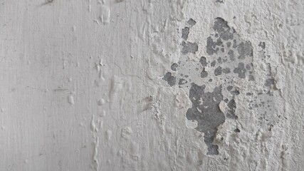 grunge wall texture
