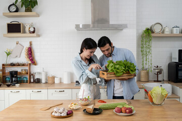 Couple preparing salad with fresh lettuce and vegetables together in cozy home kitchen for healthy cooking