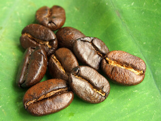 Close-up of roasted coffee beans on a large green leaf, highlighting rich texture and dark brown...