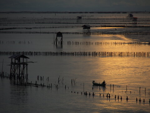 Dawn at Bang Tabun with calm waters, wooden stakes, and a boat speeding by. The sky is painted in soft blue and orange hues, with stilt houses in the distance.