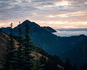 Hurricane Ridge via Hurricane Hill in Olypmic National Park