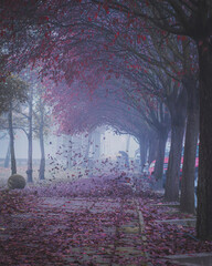 autumn in the park
