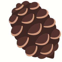 Pine Cone Illustration in Brown Tones with Detailed Scales