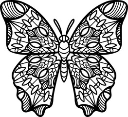 butterfly vector illustration
