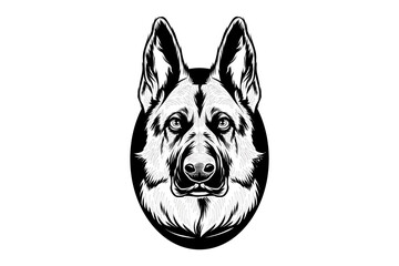 German Shepherd line art illustration with details
