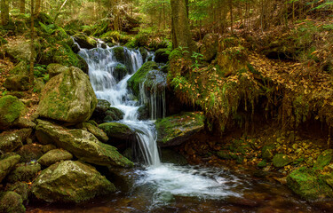 waterfall in autumn woods