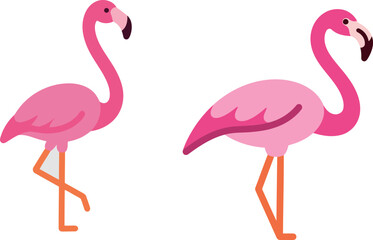 Obraz premium Pink Flamingos Standing Gracefully with Long Legs and Curved Beaks