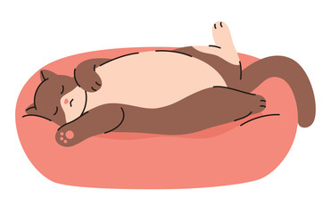 Cute domestic cat sleeping on a bed. Flat vector illustration.