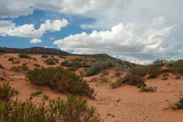 Low Angle View of Coral Pink Sand Dunes State Park Utah