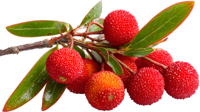 Shiny gold bars arranged in a circular formation isolated on a transparent background bullion metallic