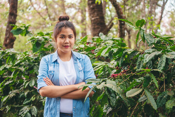 Smart farmer women holding smartphone digital tablet in eco green farm check quality control coffee tree. Woman worker Hands pointing screen device use technology planting tree in eco biotechnology