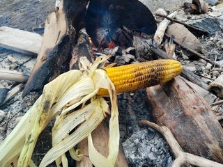grilled corn on the cob
