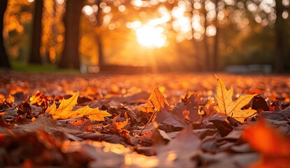 Golden autumn leaves on a park path