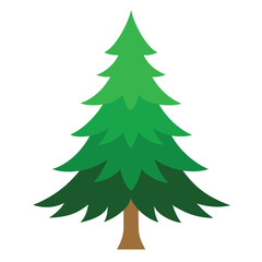 Balsam Fir Tree Vector Illustration Christmas tree vector 