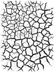 Cracked barren desert earth on transparent background