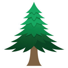 Fototapeta premium Douglas Fir Tree Vector Illustration Christmas tree vector 