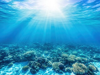 Fototapeta premium Underwater Coral Reef Sunlight (1)