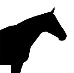 Vector Silhouette Of A Horse.