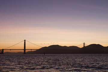 golden gate bridge at sunset with birds