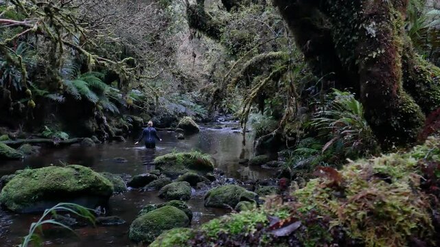 explorer wades through murky rainforest stream among ush vegetation