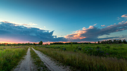 Country road and green wheat fields natural scenery at sunrise or sunset.