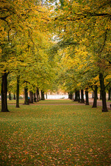Nature in Autumn